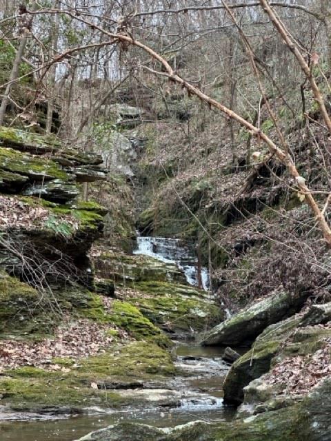 Paris Mountain Road, Rockmart, Georgia image 25