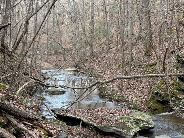 Paris Mountain Road, Rockmart, Georgia image 27