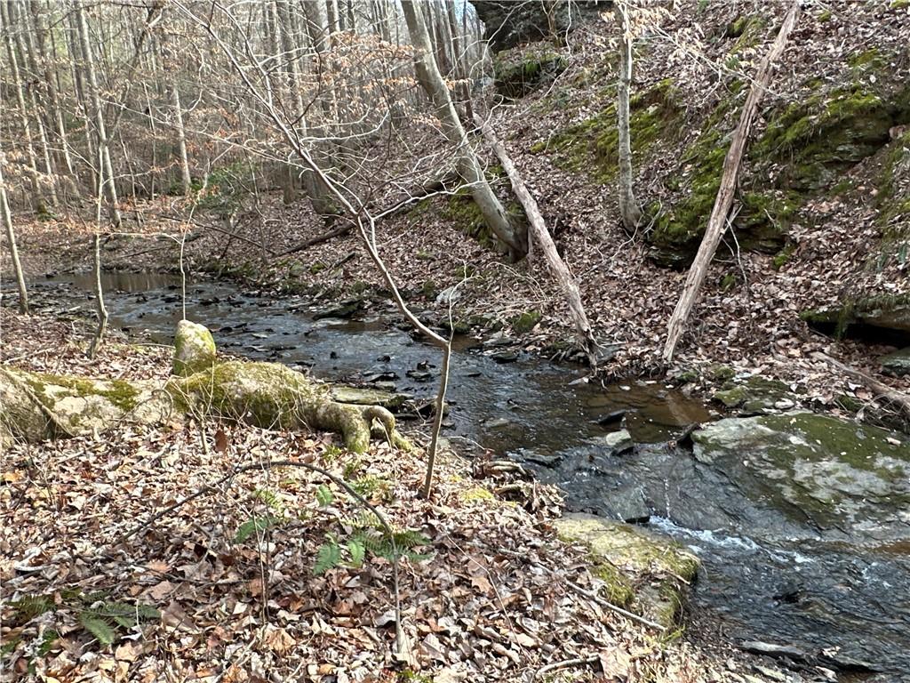 Paris Mountain Road, Rockmart, Georgia image 17