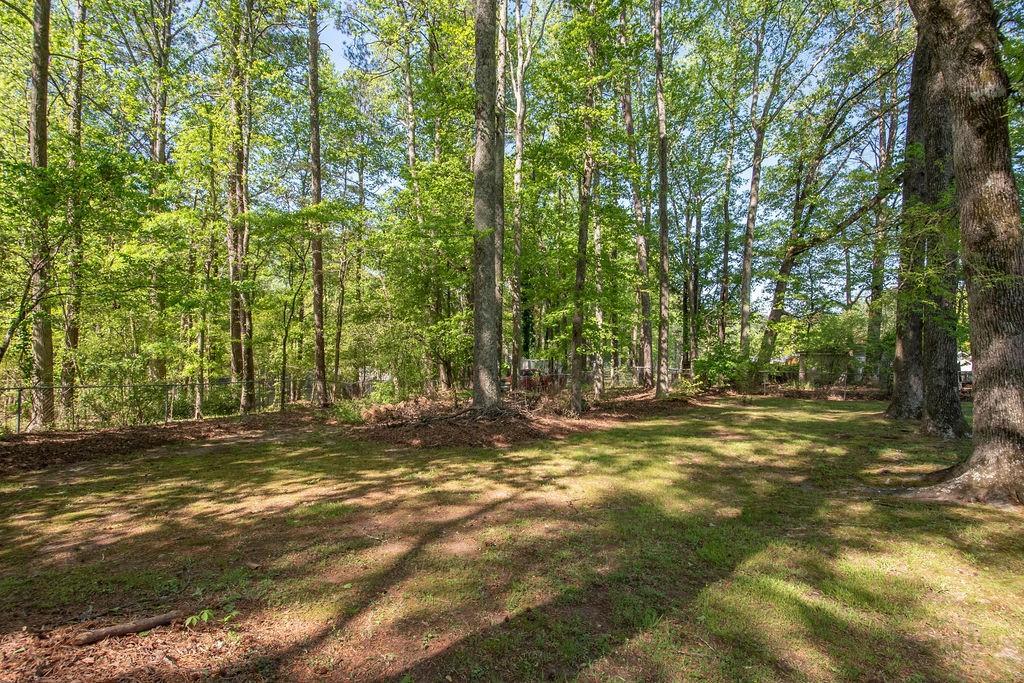 125 Valley View Court, Tyrone, Georgia image 33