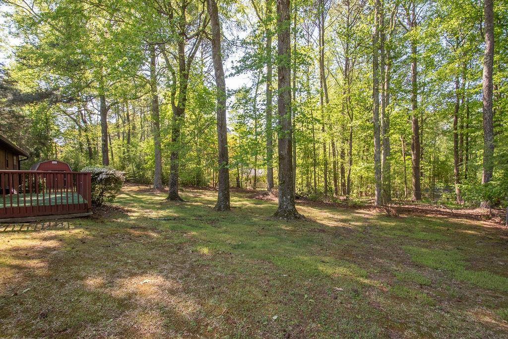 125 Valley View Court, Tyrone, Georgia image 27