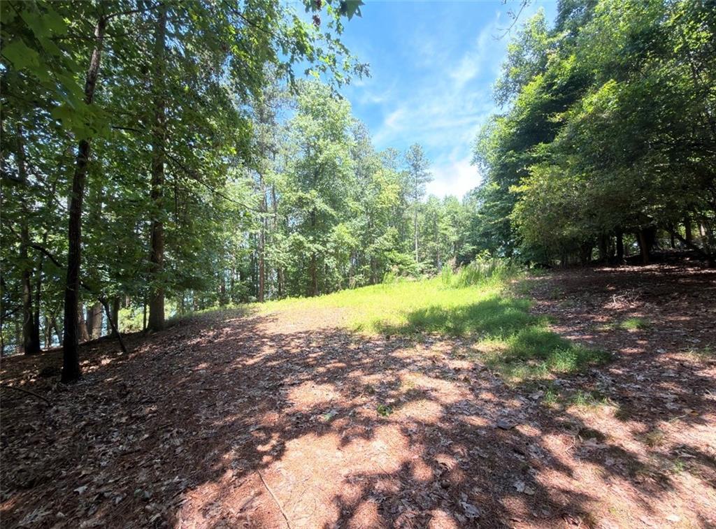 1739 Green Road