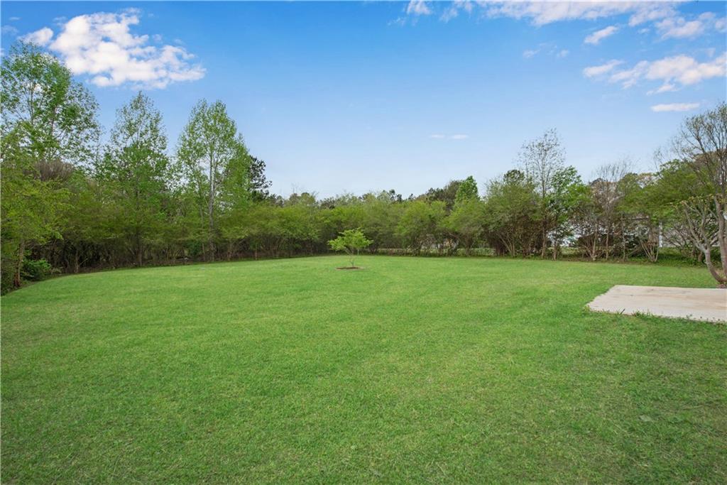 111 Shenandoah Court, Hiram, Georgia image 32