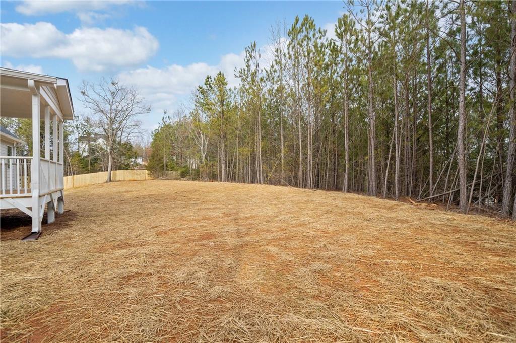 45 Wendover Drive, Cartersville, Georgia image 41