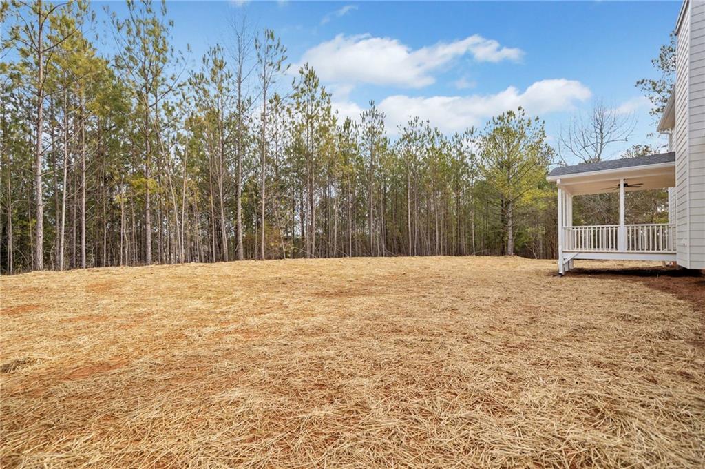 45 Wendover Drive, Cartersville, Georgia image 40