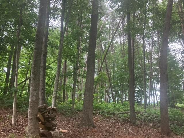 Philadelphia Heights - Residential