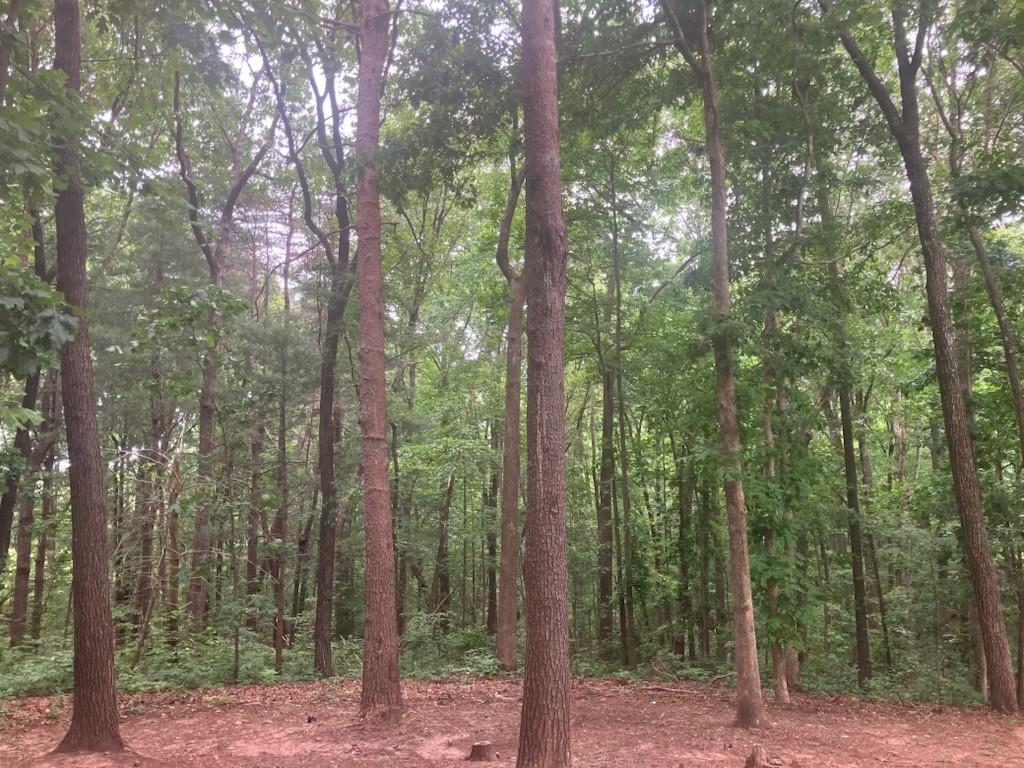 Philadelphia Heights - Residential