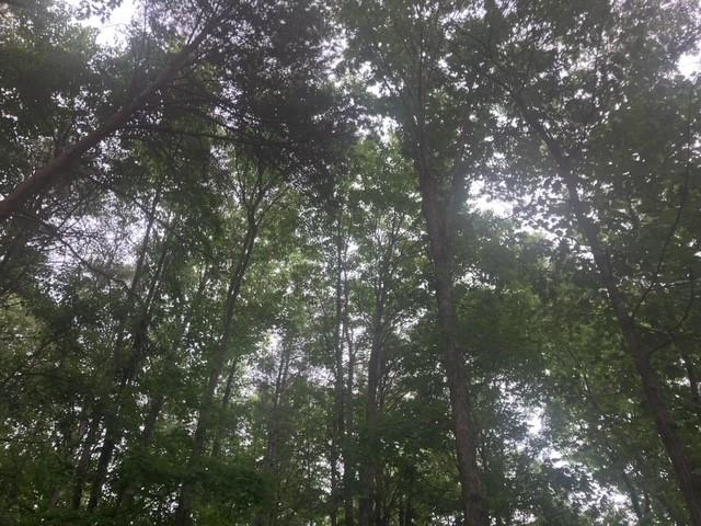 Philadelphia Heights - Residential