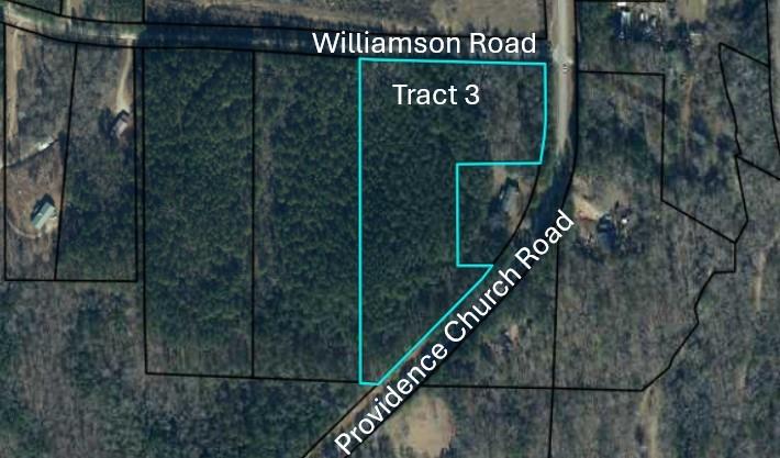 Tr 3 Williamson Road, Tallapoosa, Georgia image 1