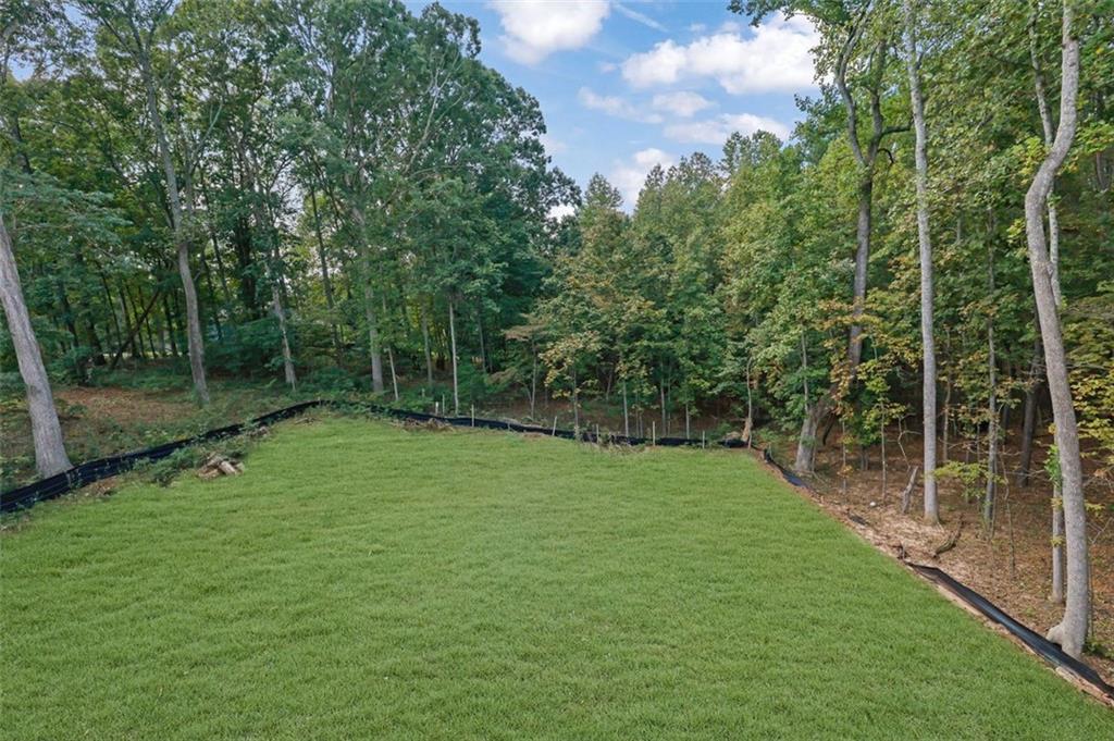 553 Somersby Drive, Dallas, Georgia image 41