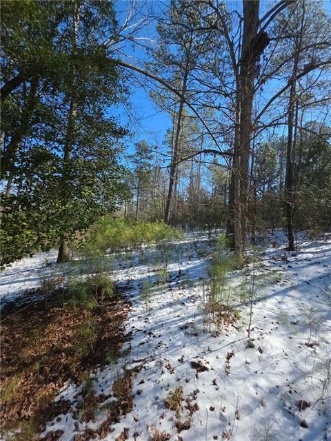Lot 56 Hornets Bridge Drive Elberton GA 30635