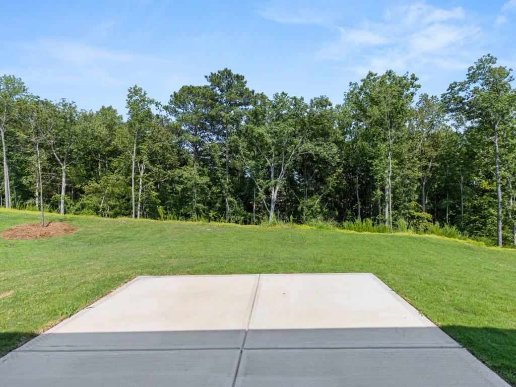 80 Majestic Oak Circle, Dallas, Georgia image 12