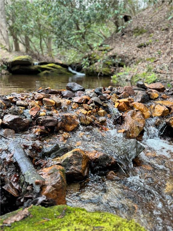 2889 Old Parker Place Rd