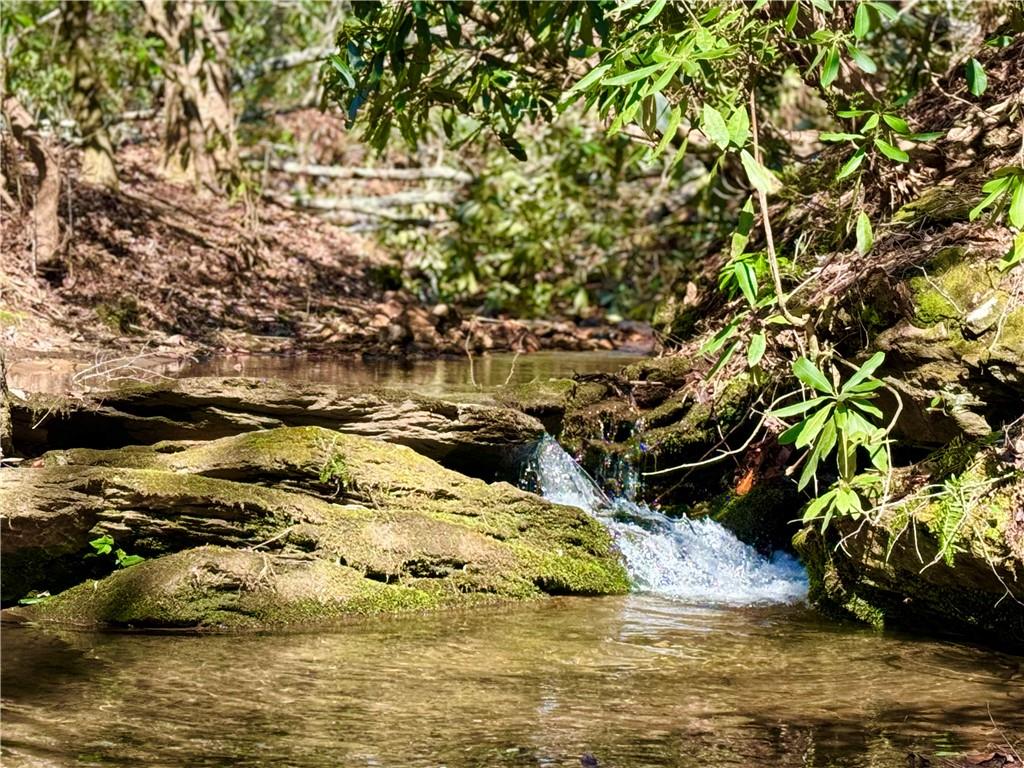 2889 Old Parker Place Rd