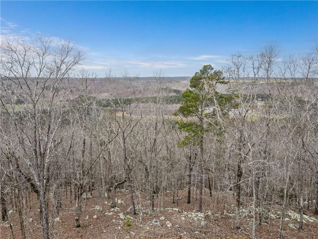 1845 Tibbitts Road, Dallas, Georgia image 7