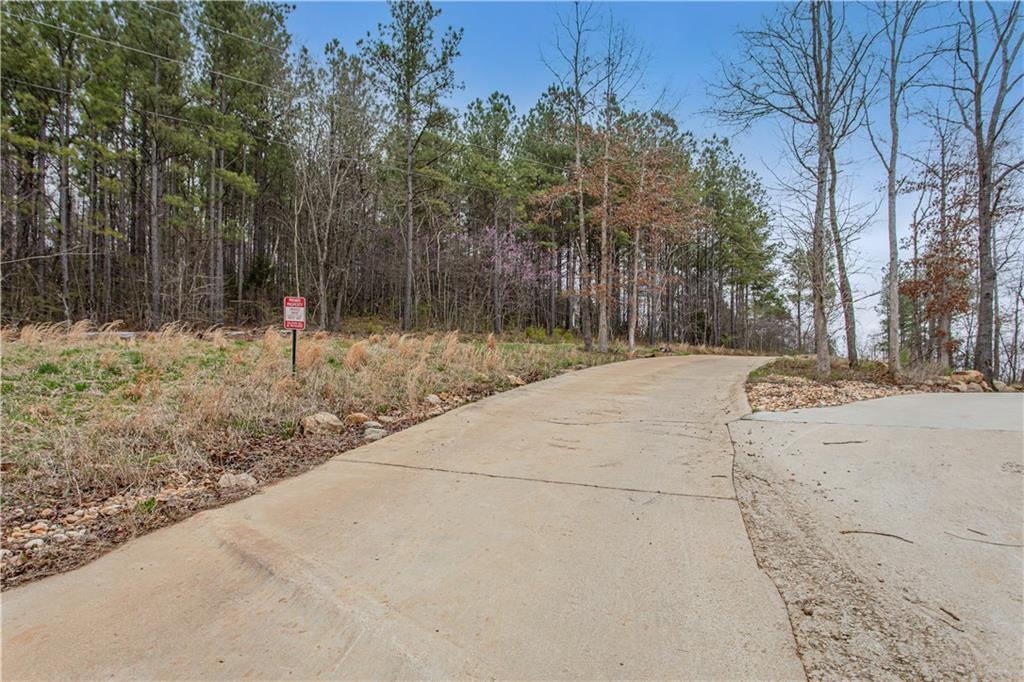 1845 Tibbitts Road, Dallas, Georgia image 12