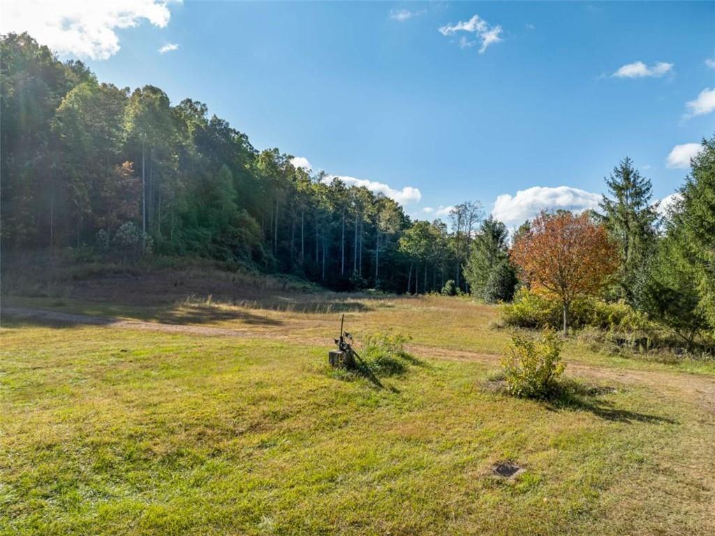 2099 Trackrock Gap Road, Blairsville, Georgia image 9