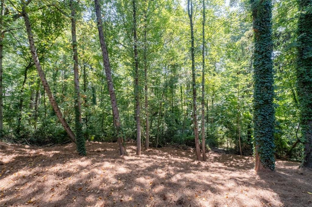 4166 Riverhill Court, Roswell, Georgia image 39