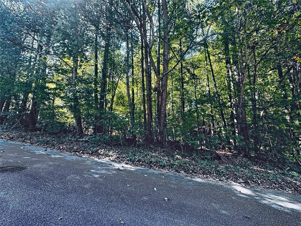 3349 Confederate Point