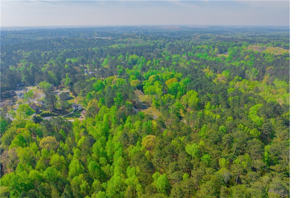 Lake Esther Drive, Fairburn, Georgia image 9