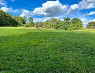 What everyone is looking for! Beautiful and tranquil property out in the country but only 10 minutes from the Cartersville City limits. Ready for you to bring your builder and get started on your dream home! This is a must see. Property can be divided by purchaser into two lots. No mobile homes and 1200 sq ft minimum homes. Taylorsville Elementary school and Woodland Middle/High.
