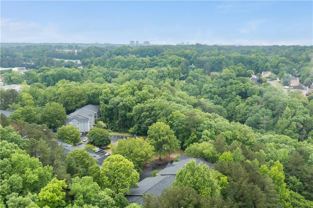 6204 Santa Fe Parkway, Atlanta, Georgia image 47