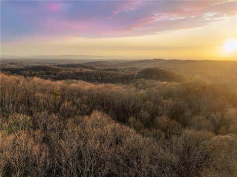 Vacant Land For Sale - LOT 2 Mount Mincie Road<br/> Lumpkin County, Murrayville, GA 30564