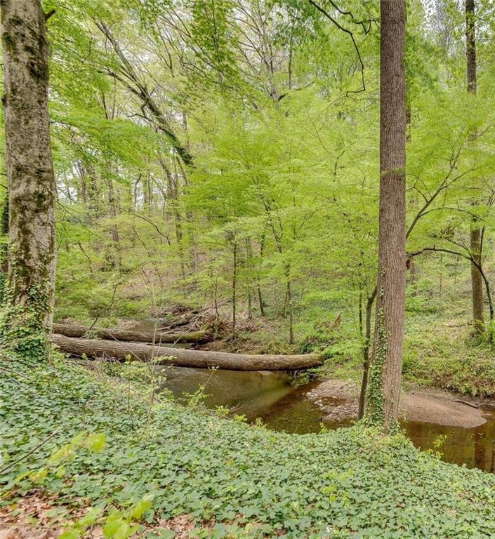 Wieuca Road, Atlanta, Georgia image 9