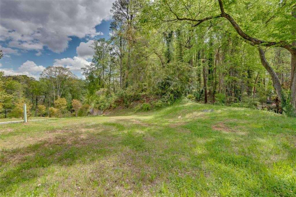 Wieuca Road, Atlanta, Georgia image 3