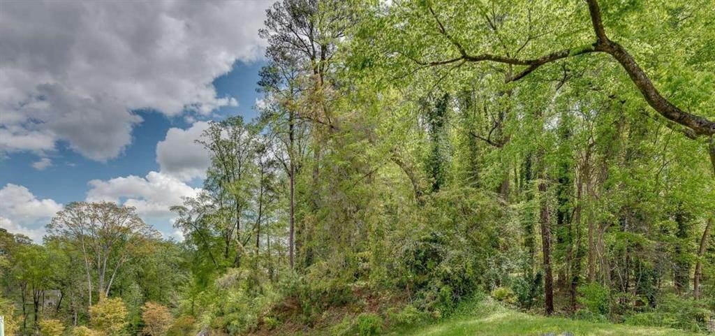 Wieuca Road, Atlanta, Georgia image 1