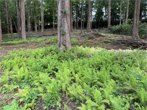 Vacant Land For Sale - Martin Head Circle<br/> Dahlonega, GA 30533