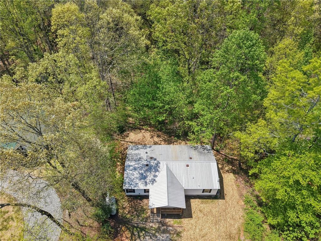 135 April Trace, Dawsonville, Georgia image 38