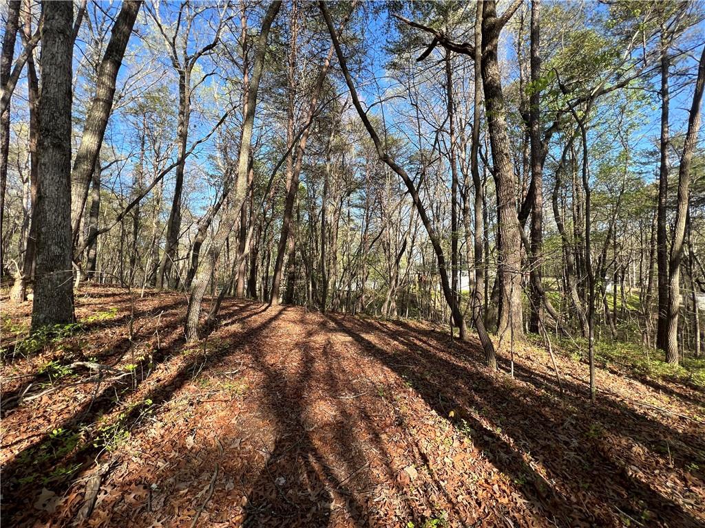 135 April Trace, Dawsonville, Georgia image 41