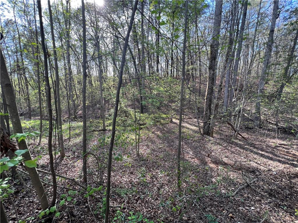 135 April Trace, Dawsonville, Georgia image 40