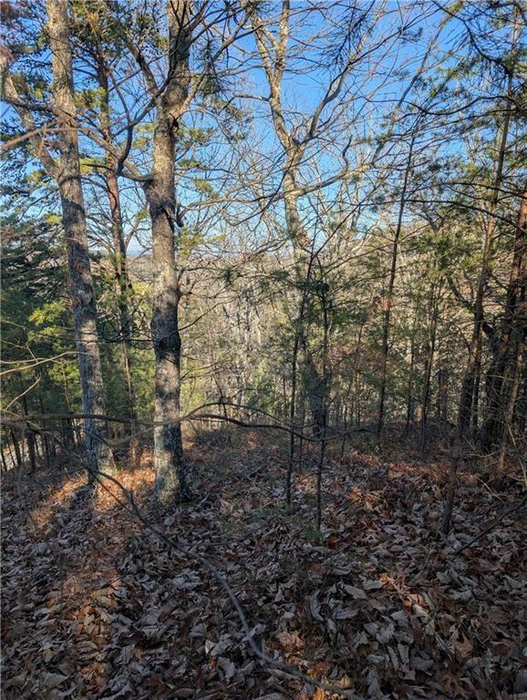 185 Stirratt Road, Ranger, Georgia image 5