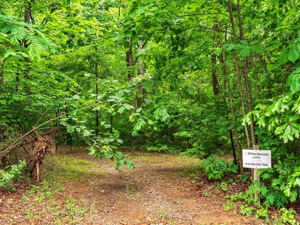 185 Stirratt Road, Ranger, Georgia image 12