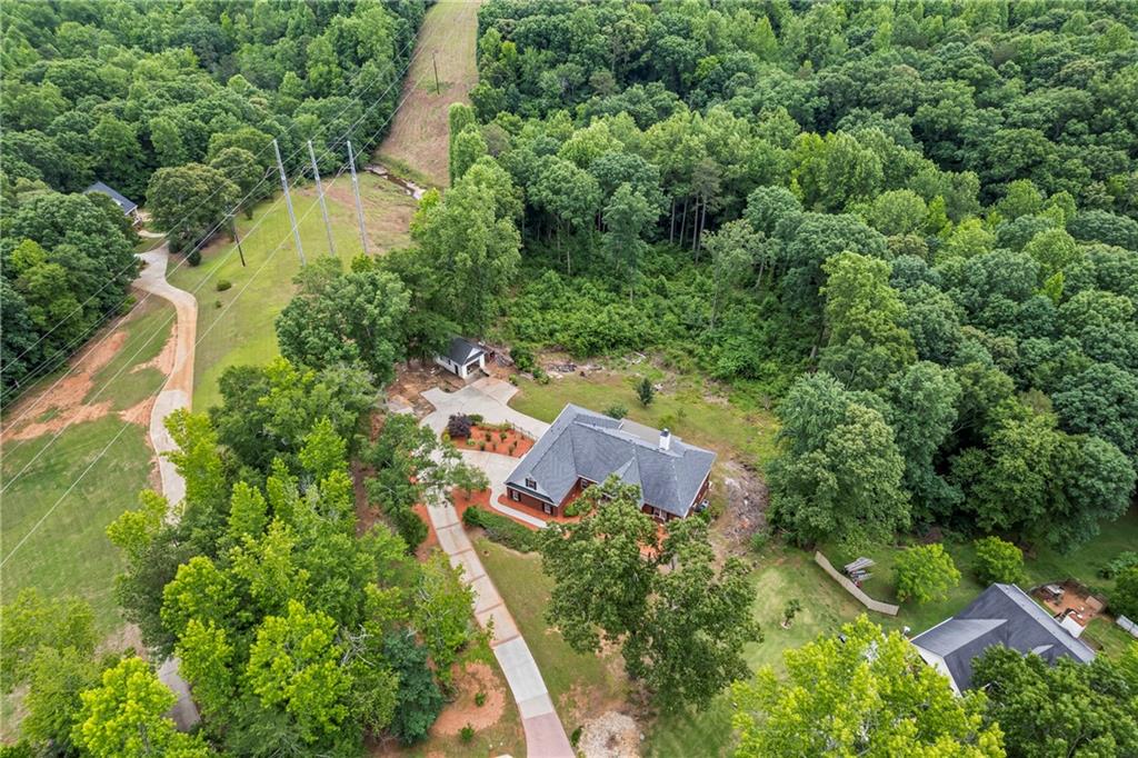 387 Lauren Marie Drive, Braselton, Georgia image 37