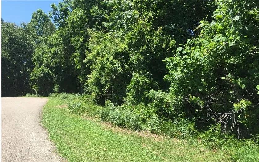 Lot 10 Mill Creek Drive