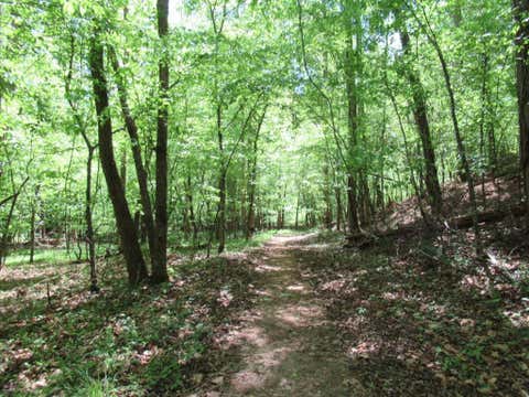 Vacant Land For Sale - Chestatee Drive<br/> Lumpkin County, Dahlonega, GA 30533