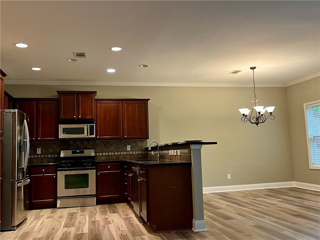 300 Snowgoose Court