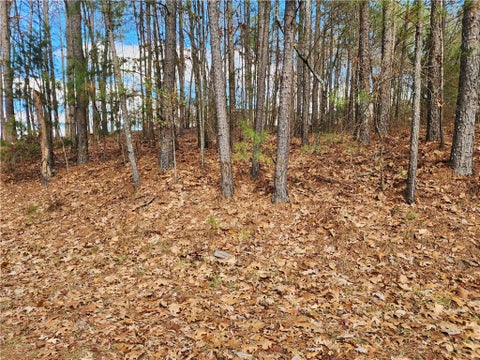 Vacant Land For Sale - 91 Cannon Ridge View Vw<br/> Dallas, GA 30132