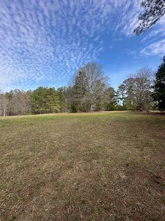 Frashier Road, Carrollton, Georgia image 2