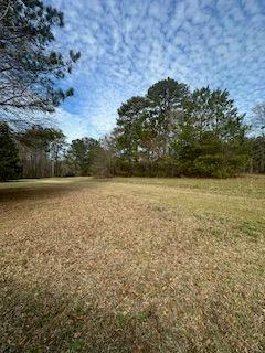 Frashier Road, Carrollton, Georgia image 9