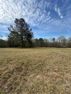 Frashier Road, Carrollton, Georgia image 6