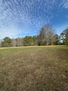 Frashier Road, Carrollton, Georgia image 3