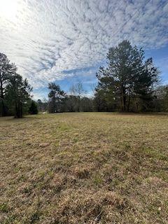 Frashier Road, Carrollton, Georgia image 5
