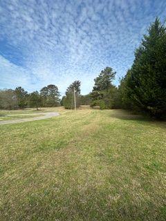Frashier Road, Carrollton, Georgia image 7