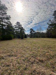 Frashier Road, Carrollton, Georgia image 4