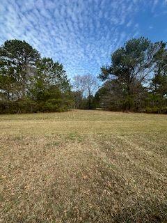 Frashier Road, Carrollton, Georgia image 8