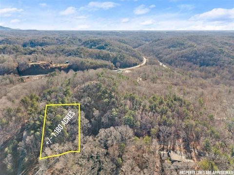 Vacant Land For Sale - Golden Lot 1 Avenue<br/> Dahlonega, GA 30533